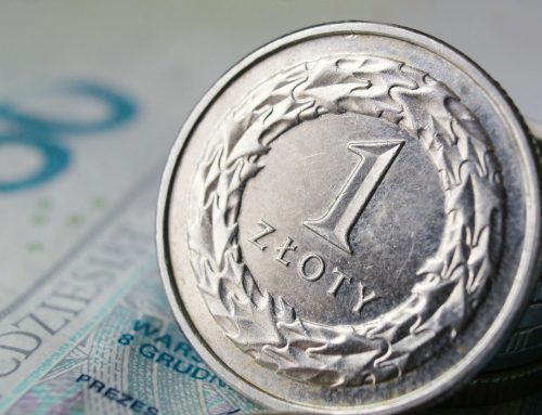 Mały ZUS a Mały ZUS Plus – kluczowe różnice